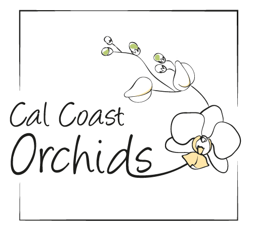 Cal coast orchids